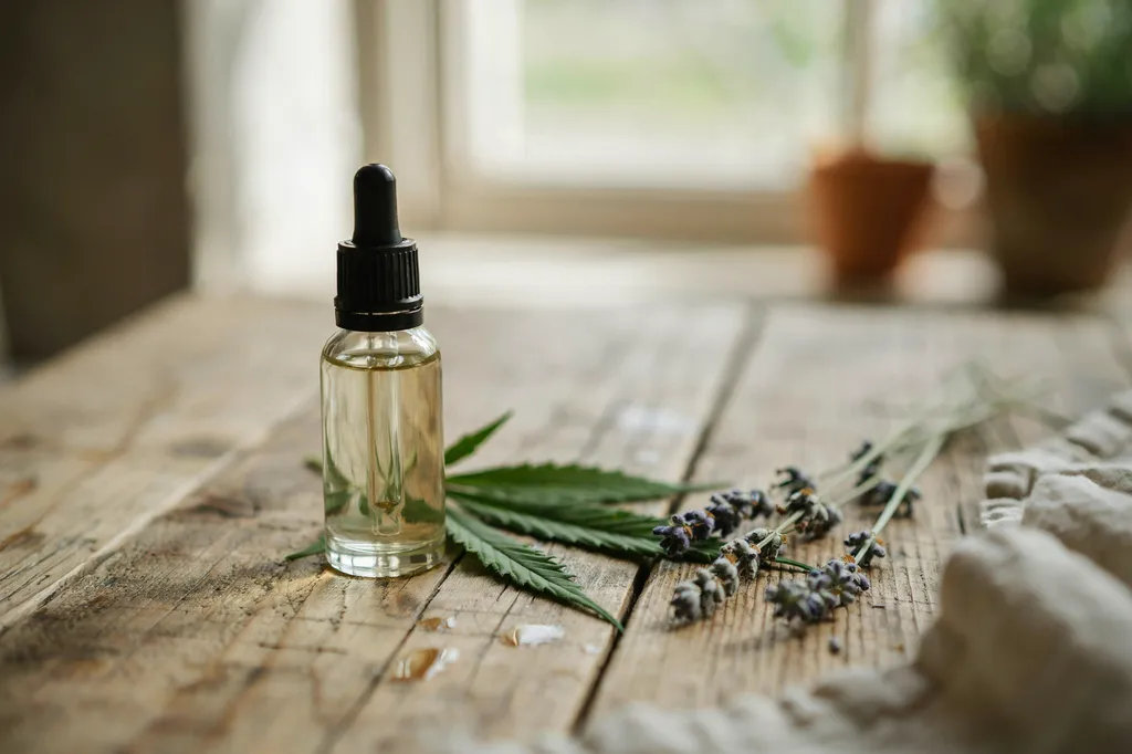 Huile Premium 20% CBD en Provence